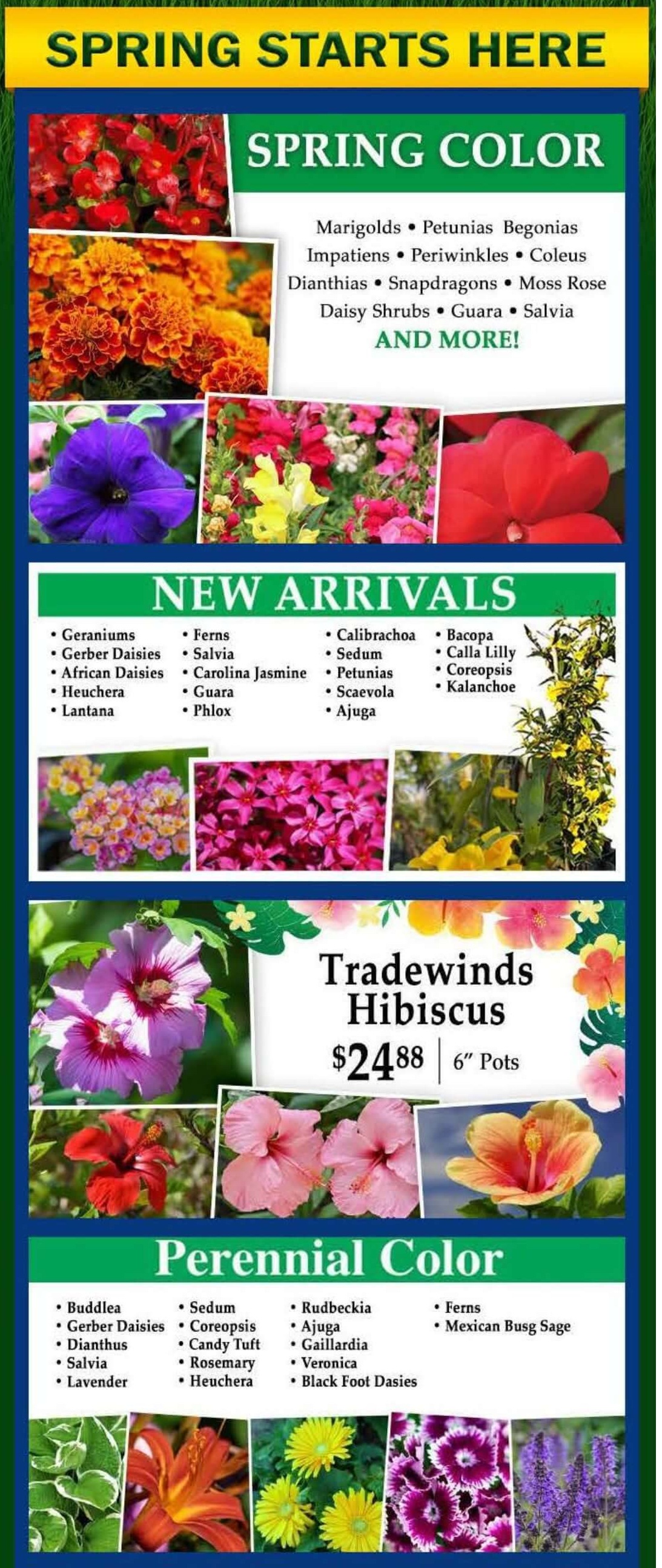 GardenCenterAd