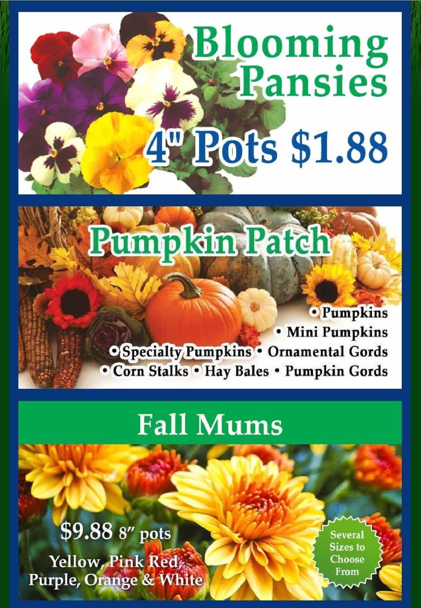 GardenCenterAd