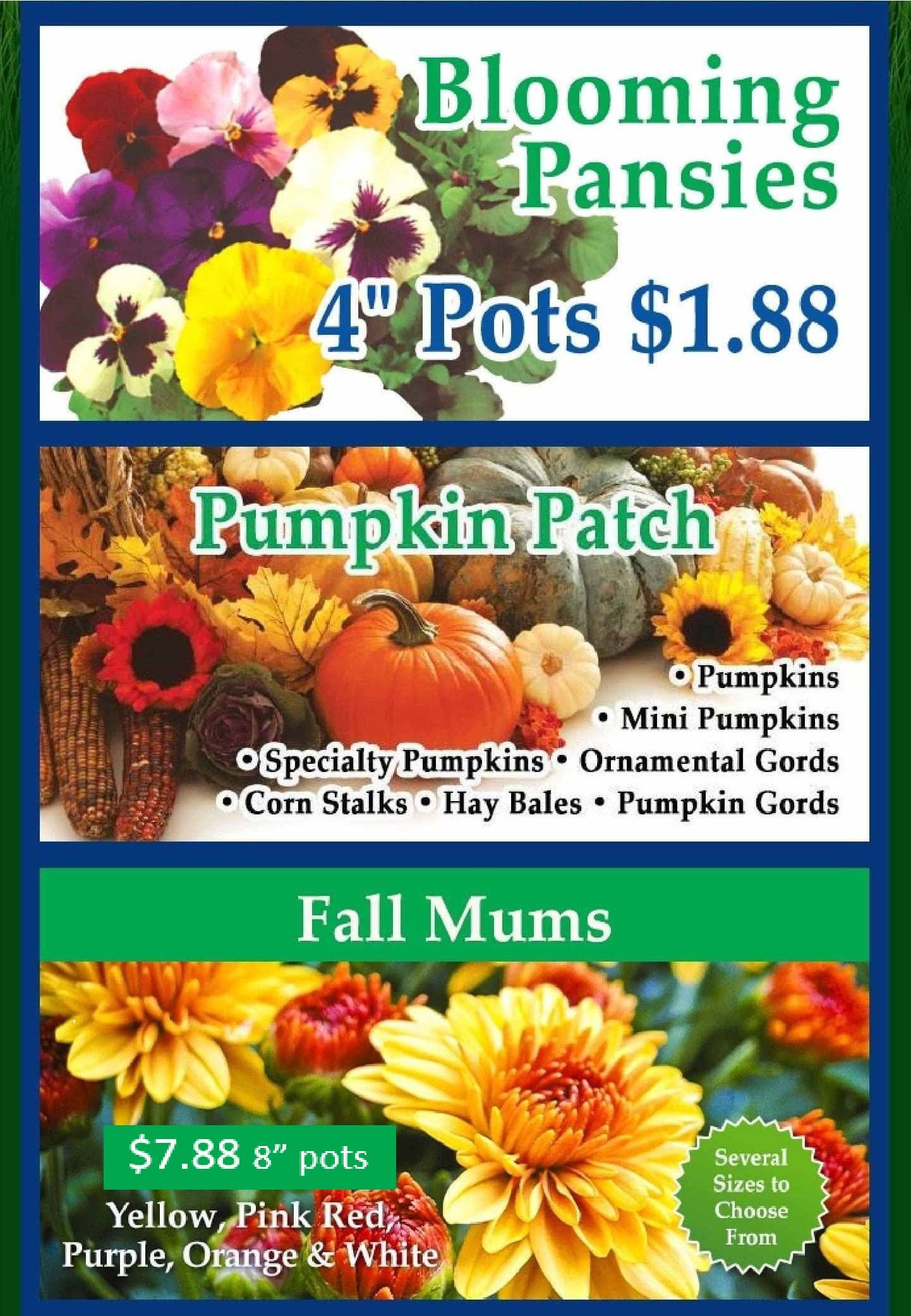 GardenCenterAd