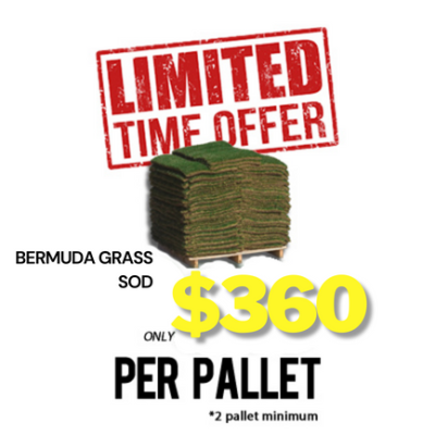 Bermuda Grass Sod Pallet - Image 4