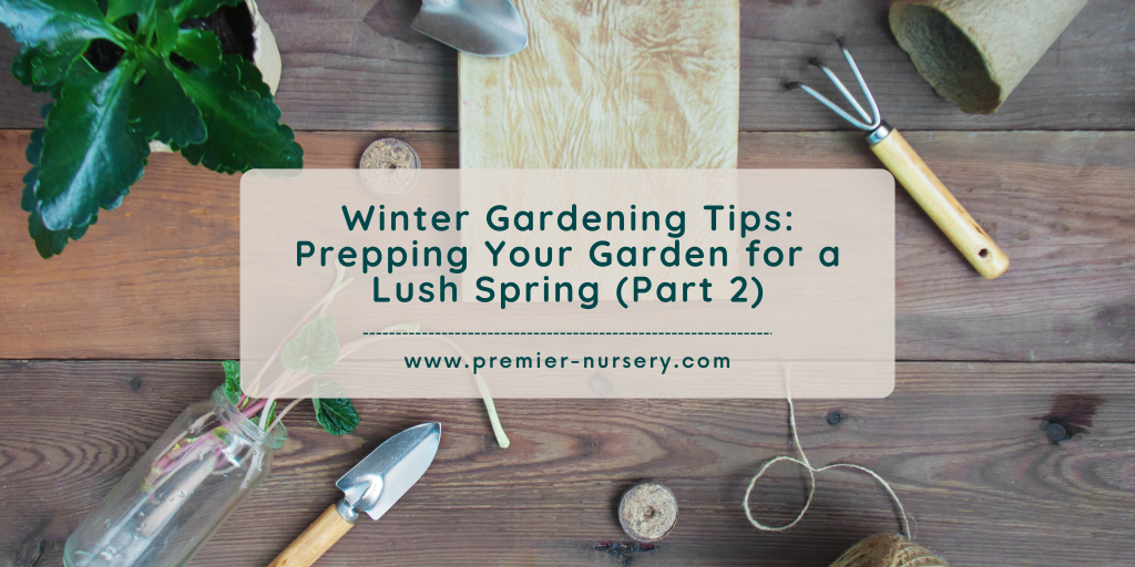 Winter Gardening Tips: Prepping Your Garden for a Lush Spring (Part 2 ...