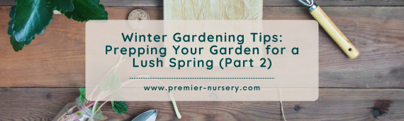 Winter Gardening Tips: Prepping Your Garden for a Lush Spring (Part 2)