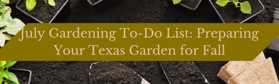 July Gardening To-Do List: Preparing Your Texas Garden for Fall