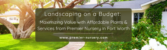 Landscaping on a Budget: Maximizing Value with Affordable Plants and Services from Premier Nursery in Fort Worth