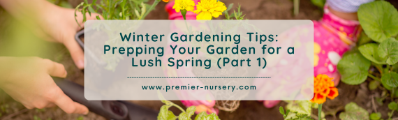 Winter Gardening Tips: Prepping Your Garden for a Lush Spring (Part 1)