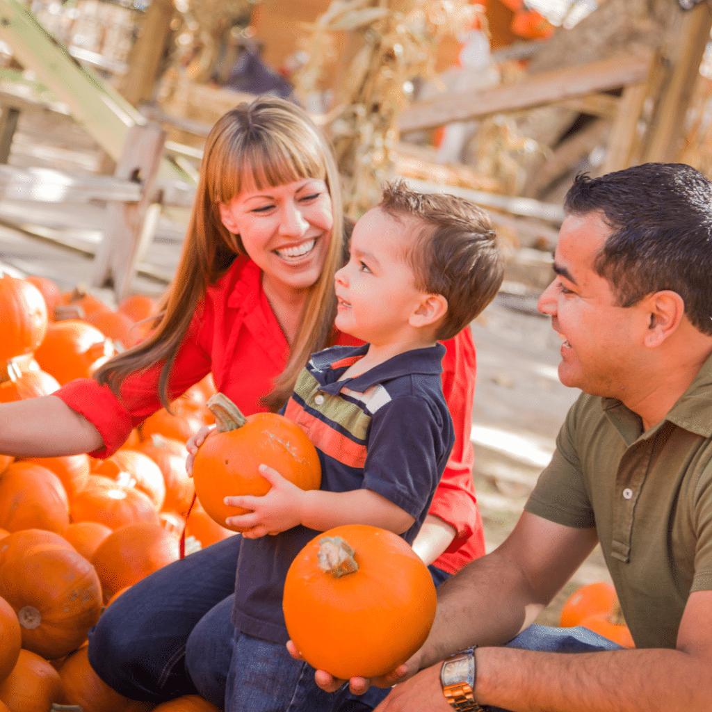 Pumpkin Patch and Fall Decorating - Premier Nursery - Plant Nursery