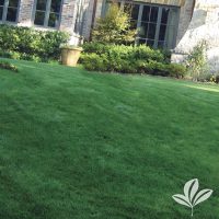 Zoysia Grass Sod Pallet
