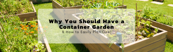 Why You Should Have a Container Garden, & How to Easily Plan One!