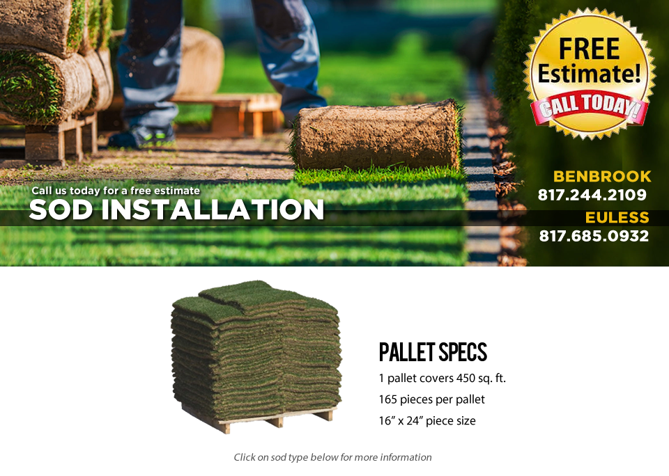 Del Mar St. Augustine Grass Sod Pallet Premier Nursery