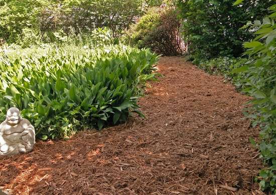 https://www.premier-nursery.com/wp-content/uploads/garden_-_mulch.jpg