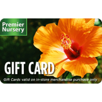 $500 Gift Certificate