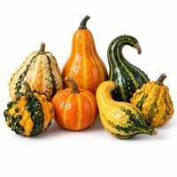Additional Fall Decorating