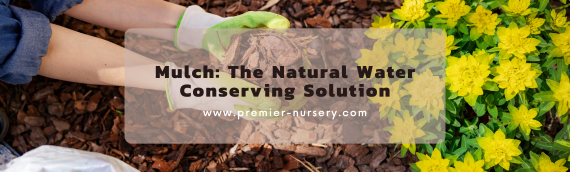 Mulch: The Natural Water Conserving Solution