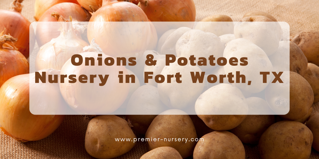 Vegetables, Onion Slips, & Seed Potatoes in Fort Worth Premier Nursery Plant Nursery
