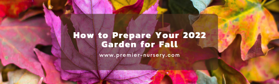 How to Prepare Your 2022 Garden for Fall