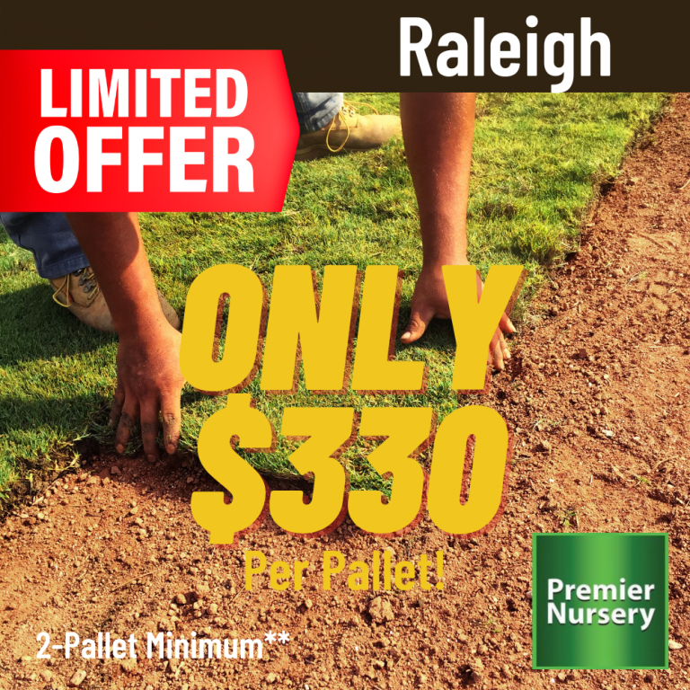 Raleigh St. Augustine Grass Sod Pallet Premier Nursery
