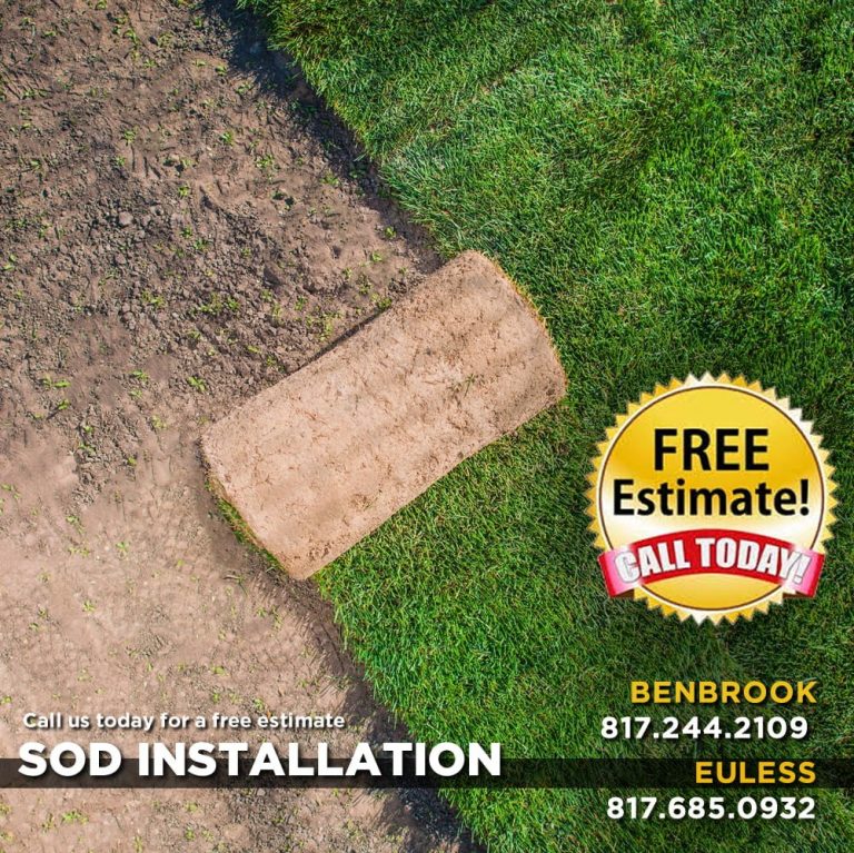 Zoysia Grass Sod Pallet Premier Nursery Plant Nursery