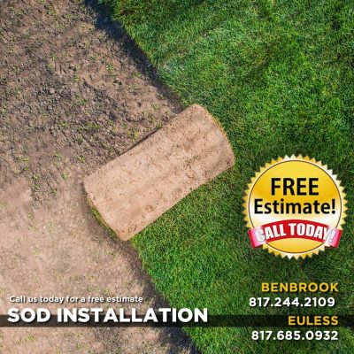 Del Mar St. Augustine Grass Sod Pallet - Image 3