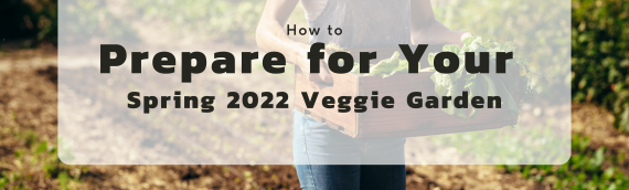 How to Prepare for Your Spring 2022 Veggie Garden