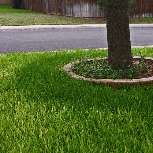 St. Augustine Sod Pallets