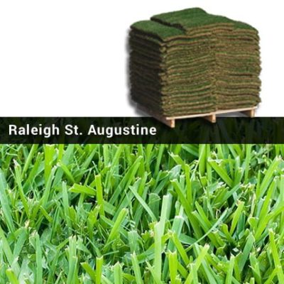 Raleigh St. Augustine Grass Pallets