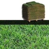Bermuda Grass Sod Pallet