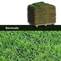 Bermuda Grass Sod Pallet